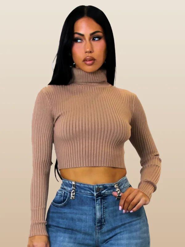 Fitted Turtleneck Ladies Top Long Sleeve