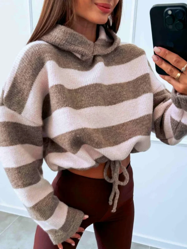 Pink Alpaca-Blend Striped Hoodie Knit Sweater